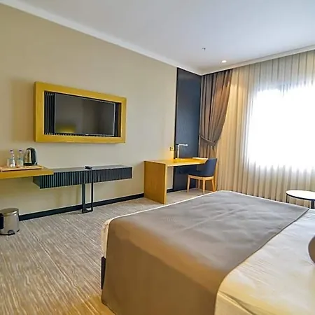 Serenity Comfort